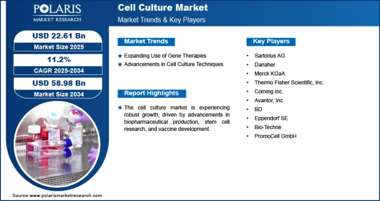 Global Cell Culture Market Poised for Robust Growth Driven by Biotech Innovation and Demand for Advanced Therapies