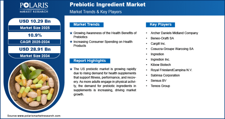 Prebiotic Ingredient Market Expected to Reach USD 28.91 Billion by 2034, Growing at a CAGR of 10.9%