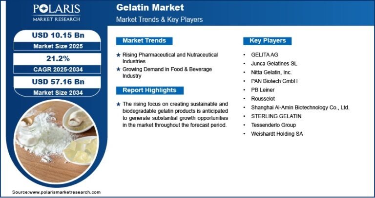 Gelatin Market Overview: Growth Trends and Future Outlook