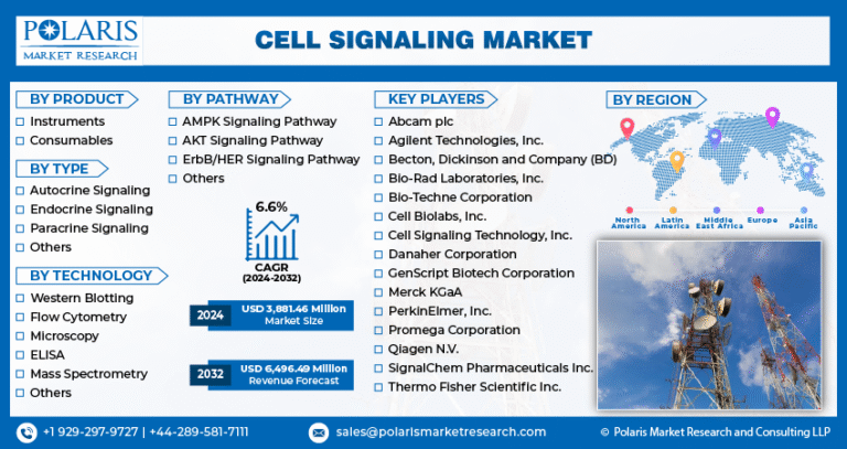 Global Cell Signaling Market Set to Surpass USD 14.9 Billion By 2034 with Steady 13.10% CAGR