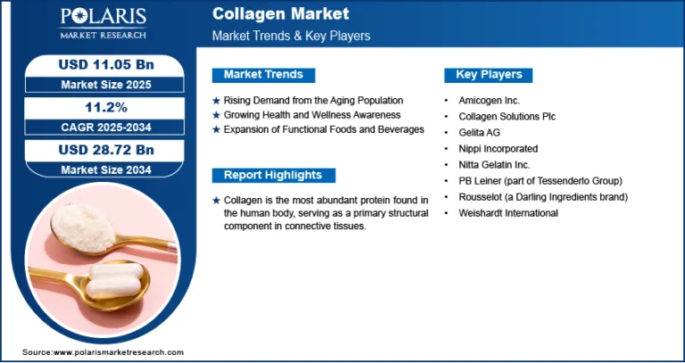 Collagen Market Projected to Reach USD 28.72 Billion by 2034, Growing at a CAGR of 11.2%