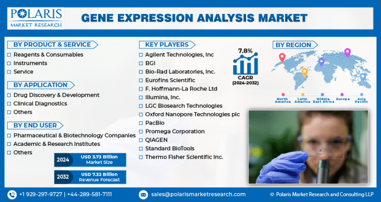 Gene Expression Analysis Market Valued at $7.32 Billion by 2032, with a CAGR of 7.8%