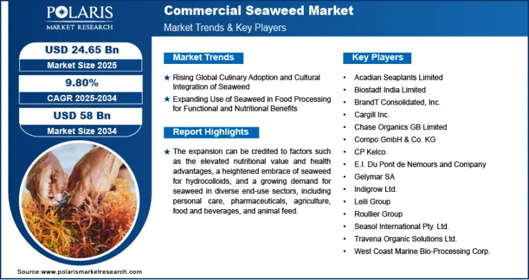 Commercial Seaweed Market Size Worth $58 Billion By 2034 | CAGR: 9.80%
