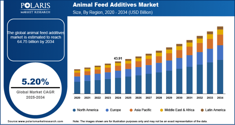 Animal Feed Additives Market Expected to Reach USD 64.75 Billion by 2034, Growing at a CAGR of 5.20%