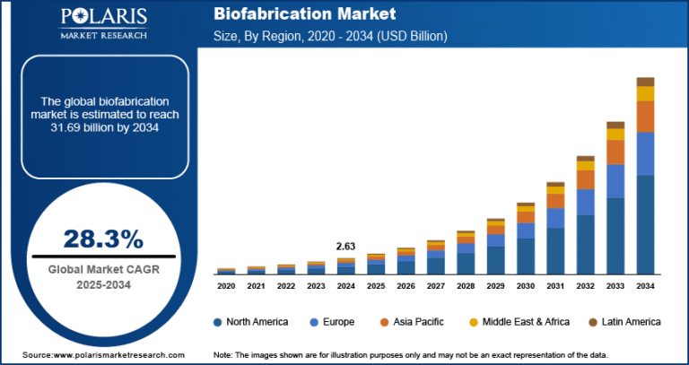 Biofabrication Market Anticipated to Reach USD 31.69 Billion by 2034, Expanding at a CAGR of 28.3%