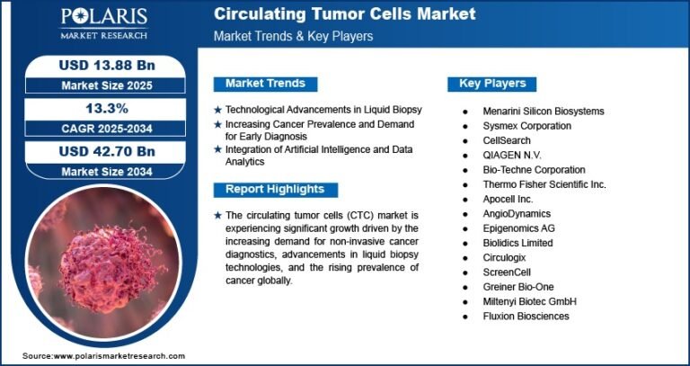 Circulating Tumor Cells Market Forecast to Hit USD 42.70 Billion by 2034 | CAGR: 13.3%