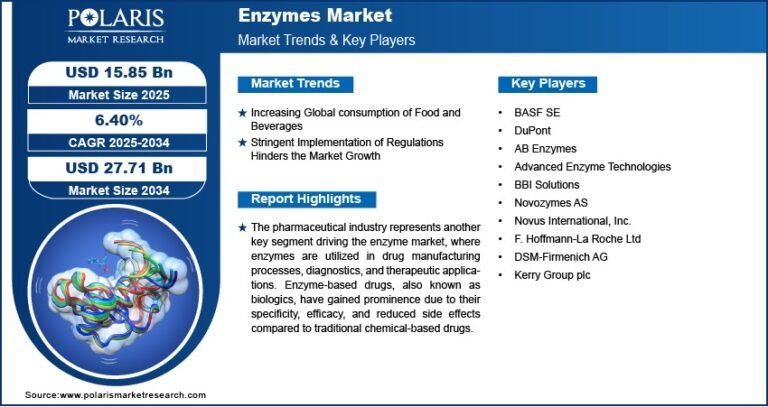 Enzymes Market to Reach USD 27.71 Billion by 2034 | CAGR: 6.40%