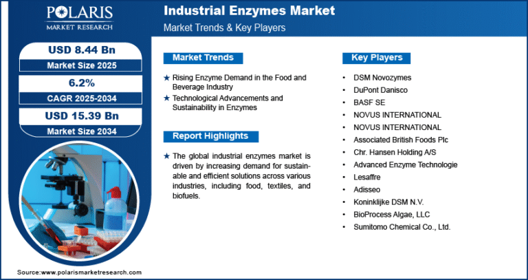 Industrial Enzymes Market expected to grow to USD 15.39 billion by 2034, registering a CAGR of 6.2%