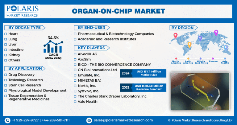 Organ-On-Chip Market Projected to Reach $1,388.30 Million by 2032, Expanding at a CAGR of 34.3%