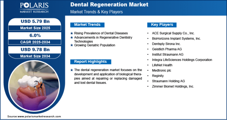 Dental Regeneration Market Analysis: Opportunities, Innovations, and Growth Potential Through 2025–2034
