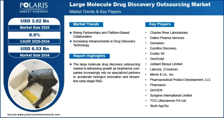 Large Molecule Drug Discovery Outsourcing Market to Reach USD 6.53 Billion by 2034 | Growing at a CAGR of 8.9%