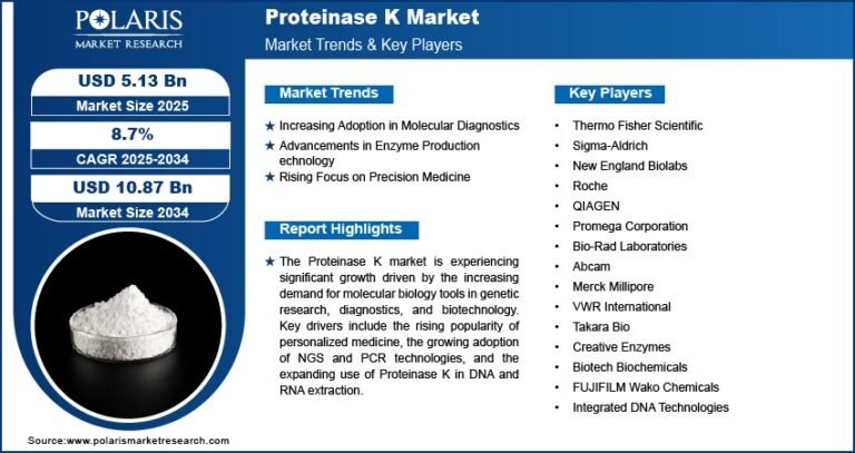 Proteinase K Market Projected to Reach USD 10.87 Billion By 2034, Growing at a CAGR of 8.7%