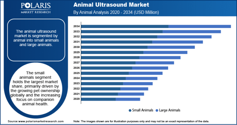 Animal Ultrasound Market Analysis: Opportunities, Innovations, and Growth Potential Through 2025-2034