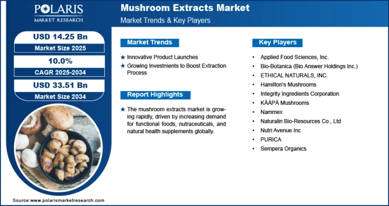 Mushroom Extracts Market: Rising Demand for Natural and Functional Health Ingredients