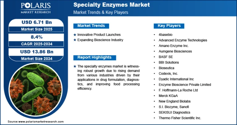 Specialty Enzymes Market: Catalyzing Growth Across Biotech, Pharma, and Industrial Applications