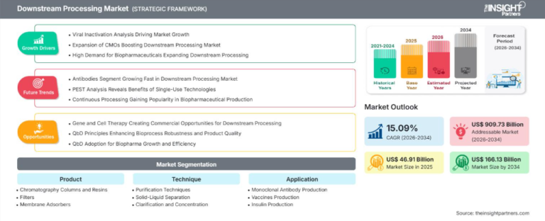 Downstream Processing Market Set to Surge to US$ 166.13 Billion by 2034