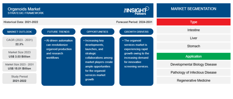 Organoids Market to Reach US$ 15.01 Billion by 2031, Growing at a 22.3% CAGR